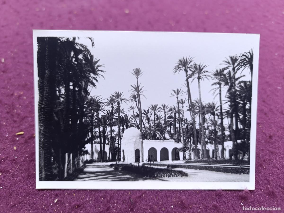 Antique Photography: Antigua Fotograf&iacute;a de Archivo, de Elche, P&eacute;rez Segu&iacute;, Sello del fot&oacute;grafo al dorso