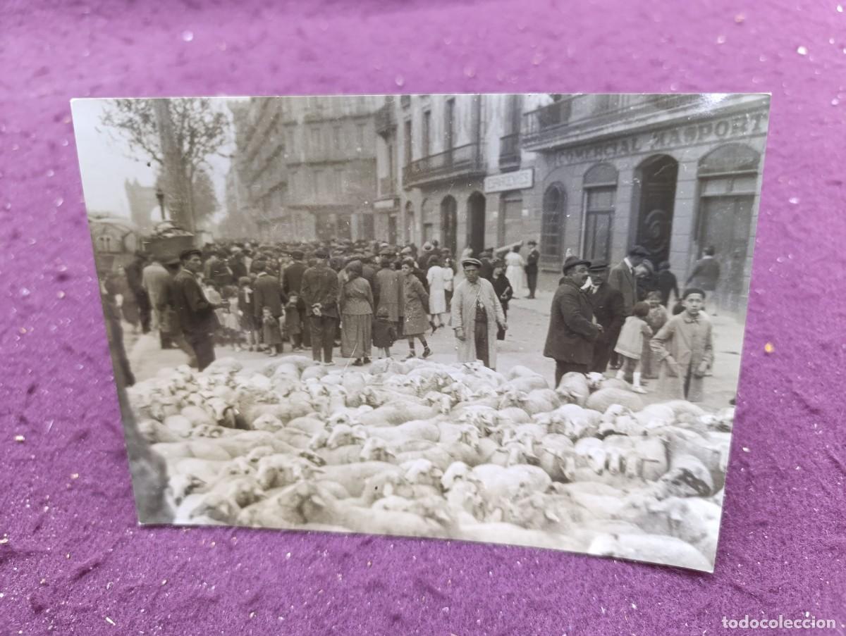 Fotograf&iacute;a antigua: Antigua Fotograf&iacute;a en b/n o sepia, Venta de Corderos, Barcelona, de archivo, sellos/notas al dorso