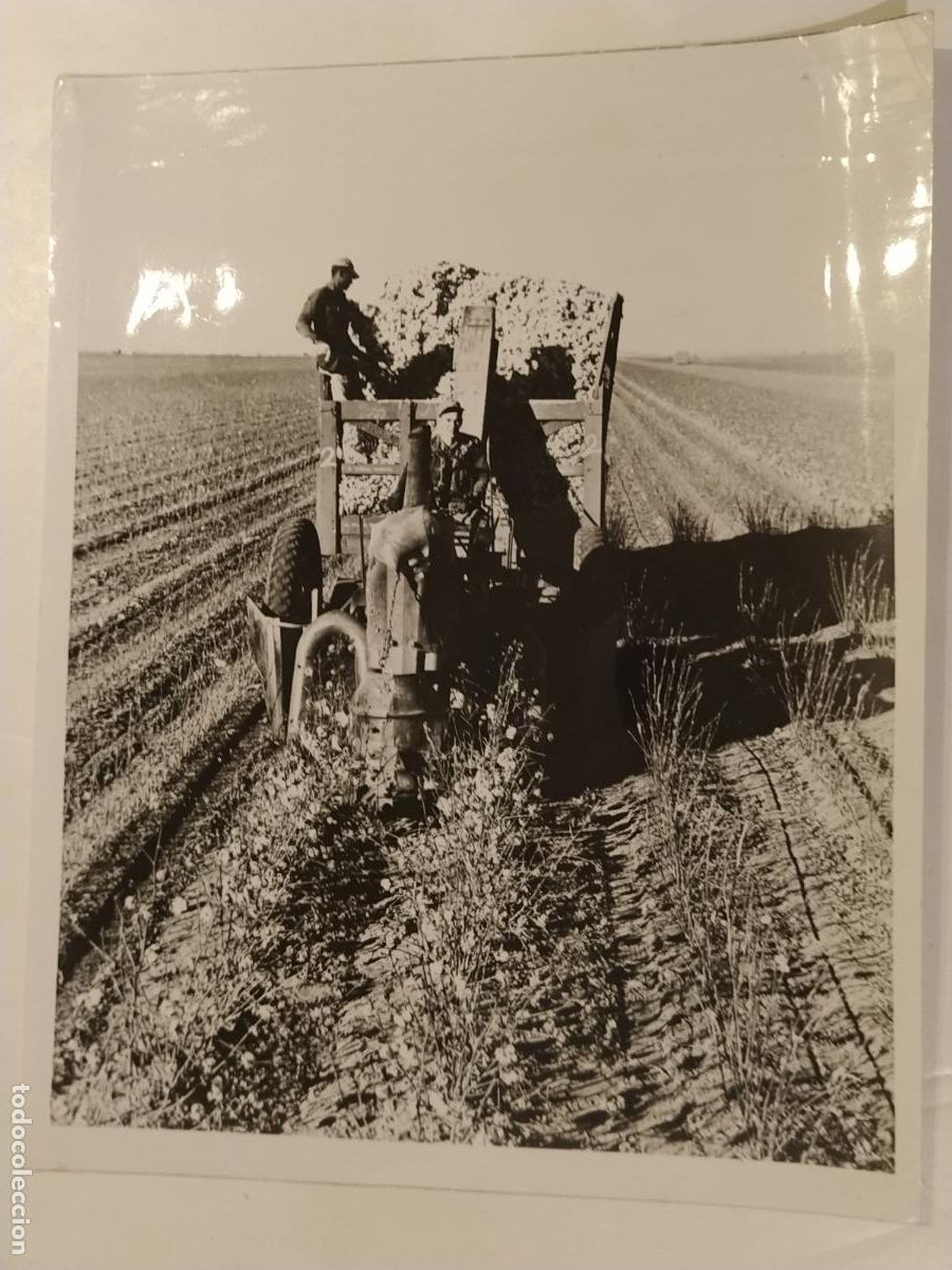 Fotograf&iacute;a antigua: TRACTOR - MAQUINARIA CAMPO - ARCHIVO FOTOS VERGARA - FOTOGRAFIA ANTIGUA DE PRENSA O EDITORIAL - 114