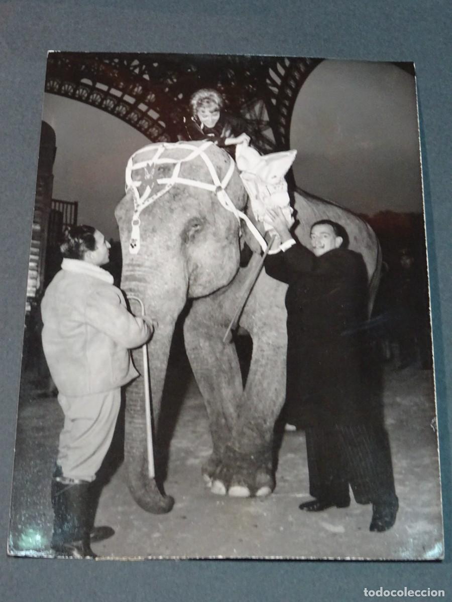 Fotograf&iacute;a antigua: SALVADOR DALI - ANTIGUA FOTOGRAFIA 21-11-58 ORIGINAL DE LA EPOCA SALVADOR DALI JUNTO A UN ELEFANTE