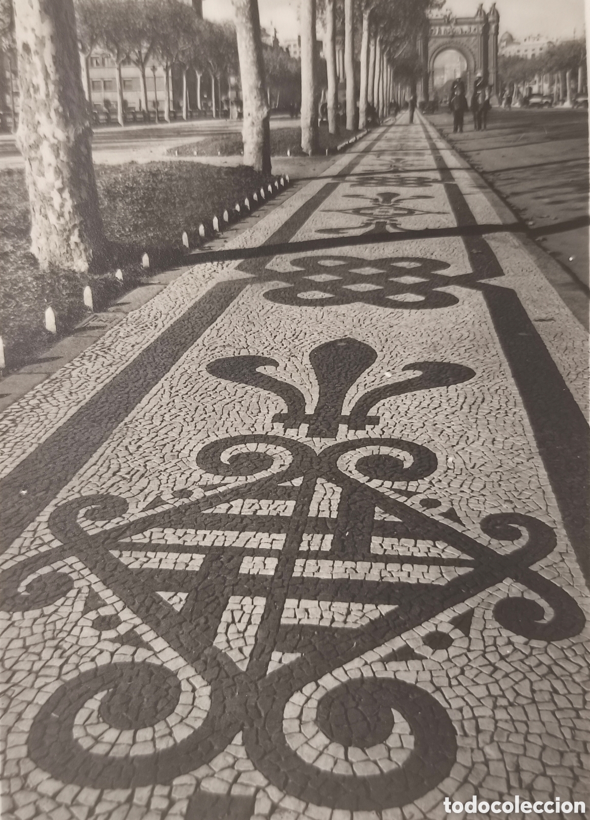 Fotograf&iacute;a antigua: FOTOGRAF&Iacute;A CATAL&Agrave; - ROCA CONCURSO PREMIO OBSEQUIO INFONAL BARCELONA 1952