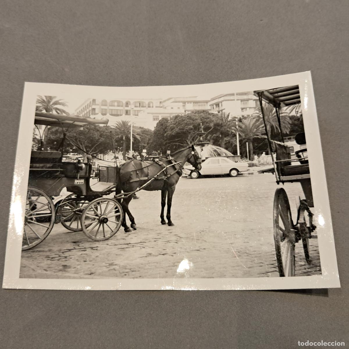 Fotograf&iacute;a antigua: Antigua fotograf&iacute;a. Gran Canaria. A&ntilde;os 70. Las Palmas, Tartanas y fuente junto Parque Santa Catalina