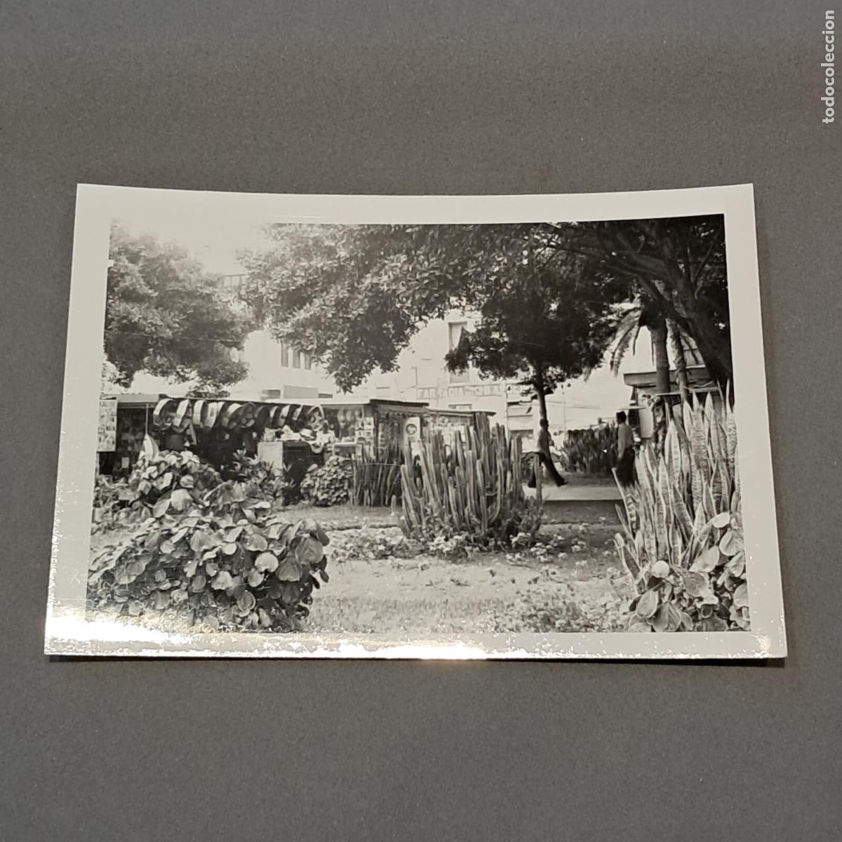 Fotograf&iacute;a antigua: Antigua fotograf&iacute;a. Gran Canaria. A&ntilde;os 70. Las Palmas, Parque de Santa Catalina
