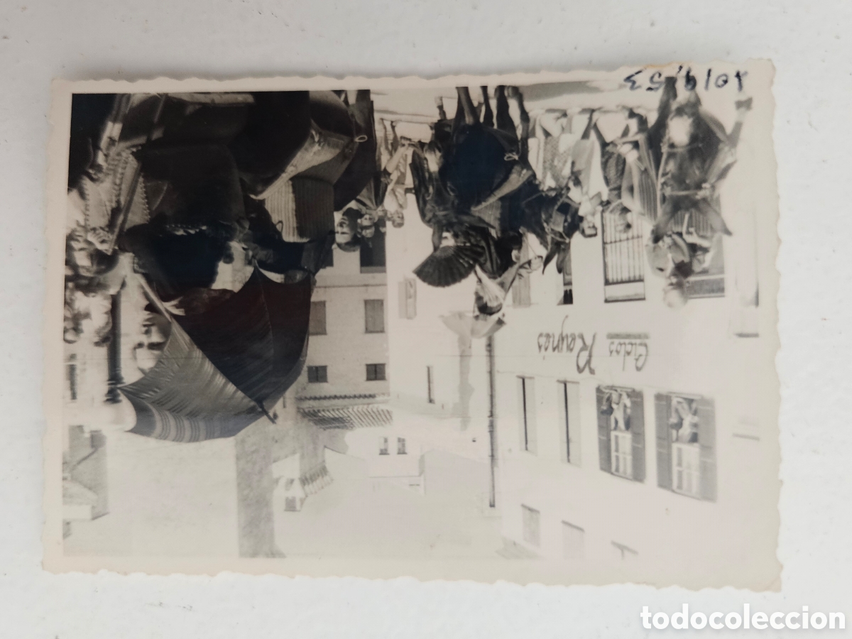 Fotograf&iacute;a antigua: Magn&iacute;fica fotograf&iacute;a peque&ntilde;a de Ma&oacute;, Ciclos Reyn&eacute;s 1953 Balears fiestas burros