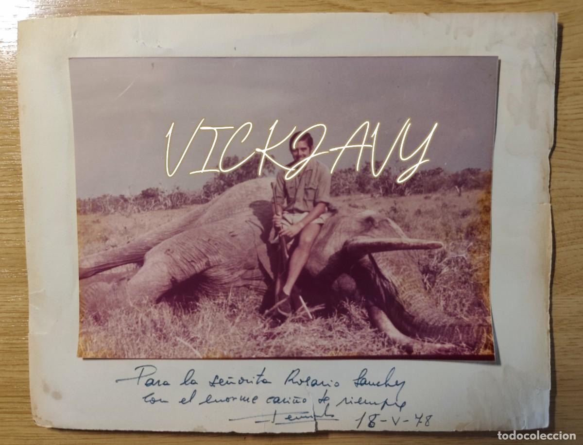 Fotografia antiga: FOTOGRAFIA CAZA MAYOR ELEFANTES 1978