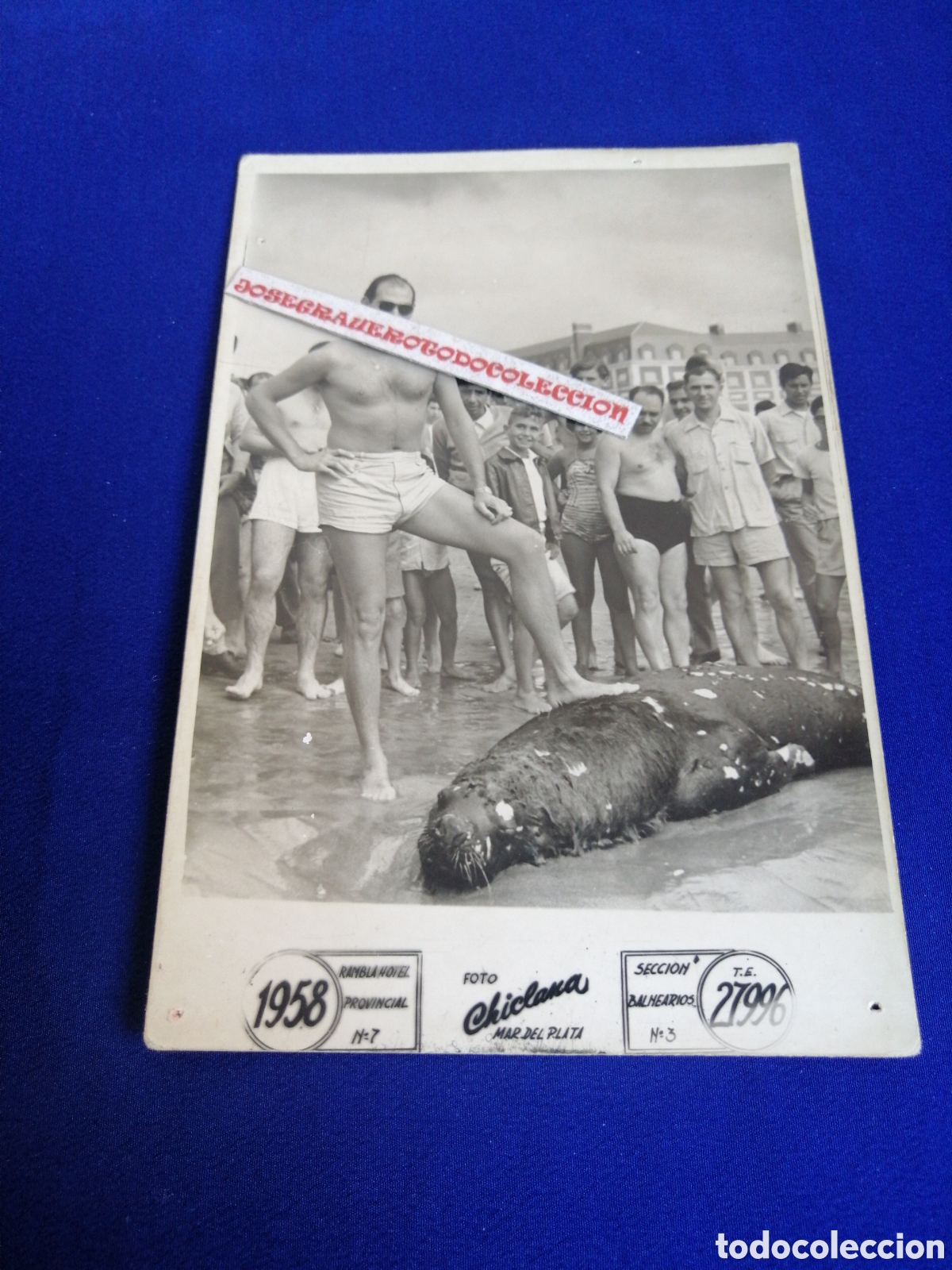Fotograf&iacute;a antigua: PLAYA MODELOS EN BA&Ntilde;ADOR CON FOCA MUERTA POSANDO A&Ntilde;O 1958 FOTOGRAF&Iacute;A ANTIGUA SIGLO PASADO