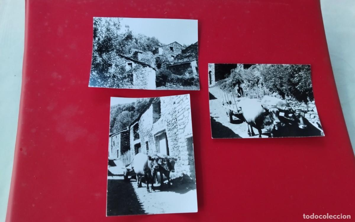 Fotograf&iacute;a antigua: SETCASES , TRES FOTOGRAFIAS A&Ntilde;O 1973 , MEDIDAS APROX 10,5 X 7,5 CTM