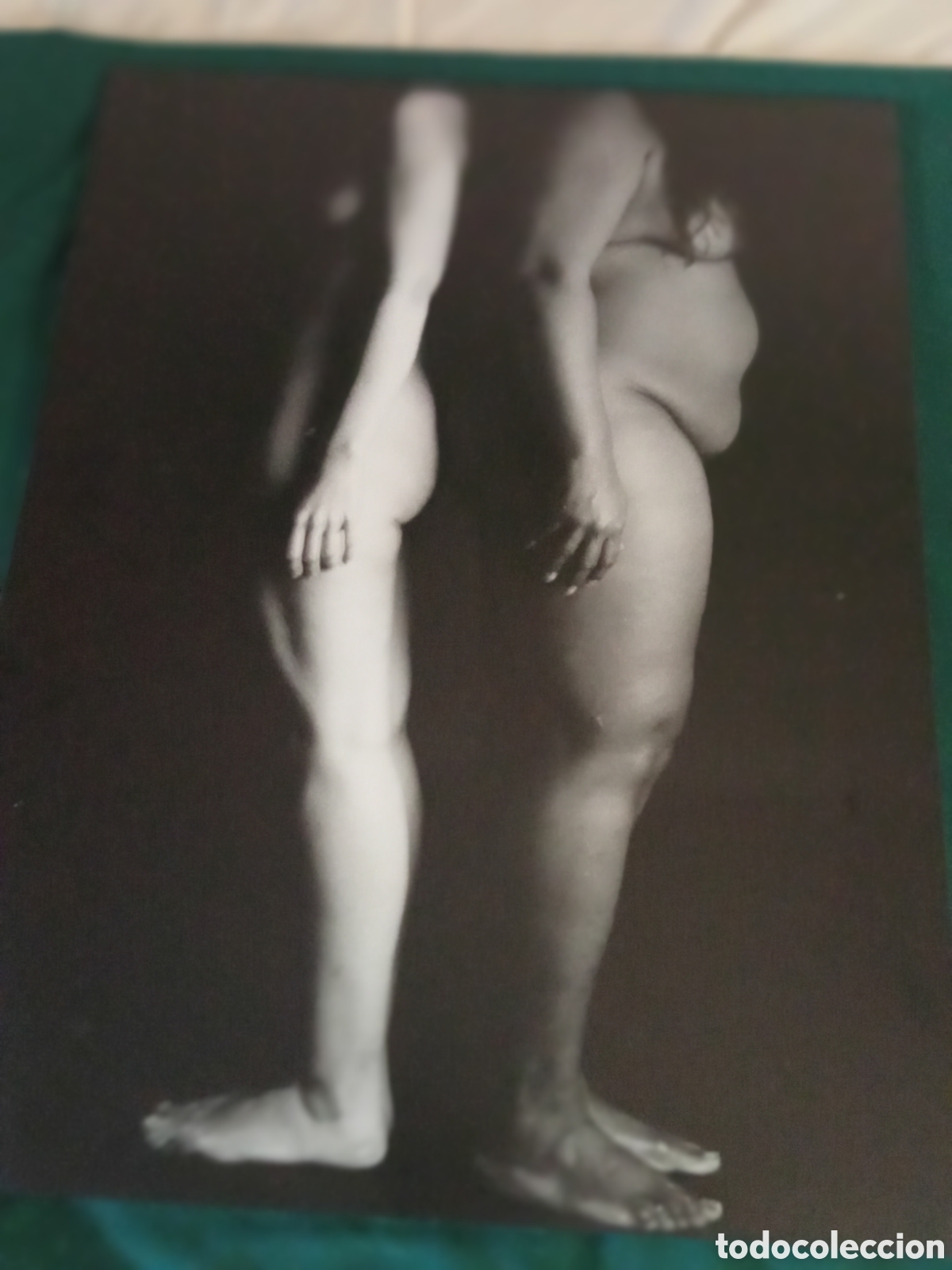 Fotograf&iacute;a antigua: Desnudos femeninos de autor desconocido. Fotograf&iacute;a montada sobre DMI 66x50