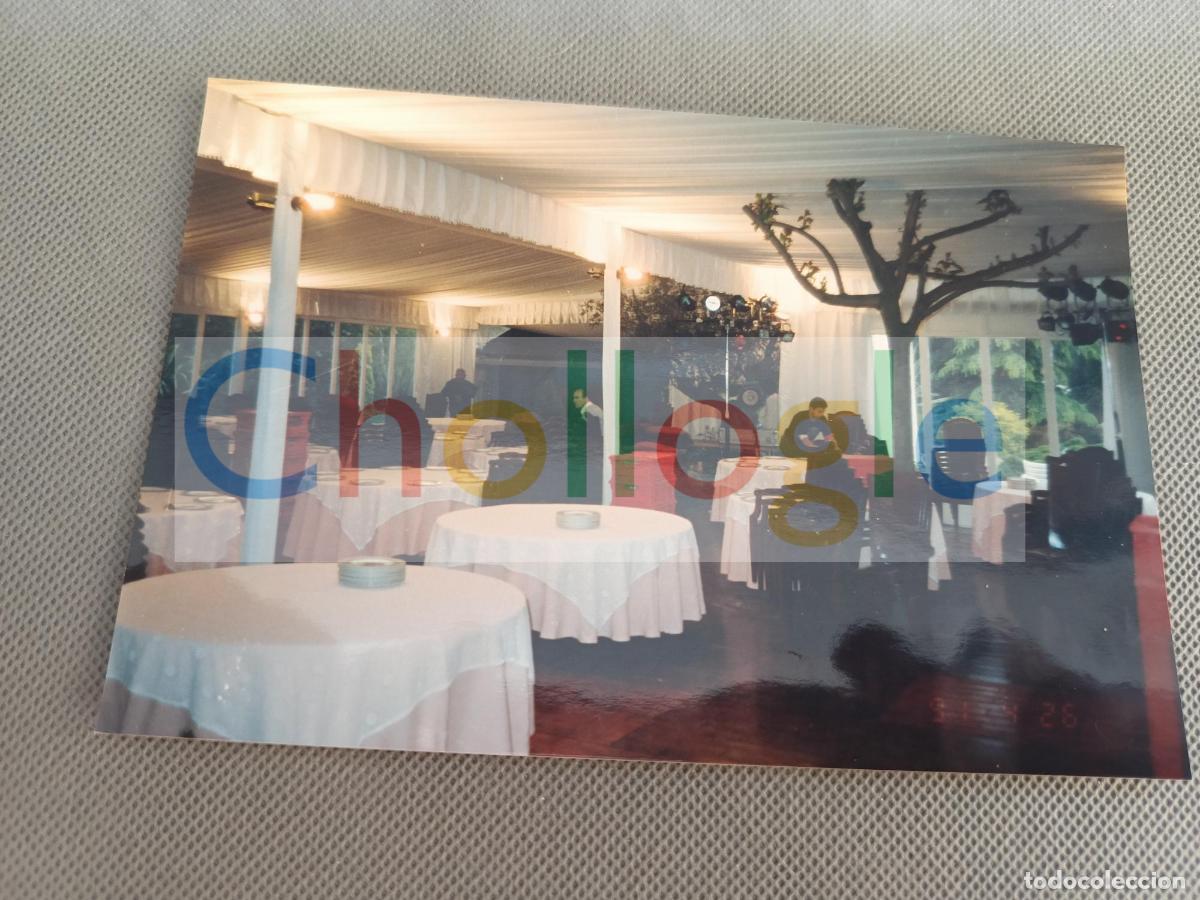 Fotograf&iacute;a antigua: ARBOL DENTRO DE CARPA FOTOGRAFIA ORIGINAL