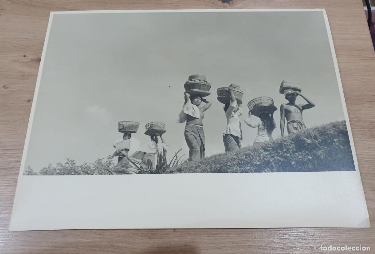Fotograf&iacute;a antigua: INDONESIA. BALI. DESNUDO. NAKED NU. GRAND FORMAT. FOTO PHOTO. 39.5X29.5CM