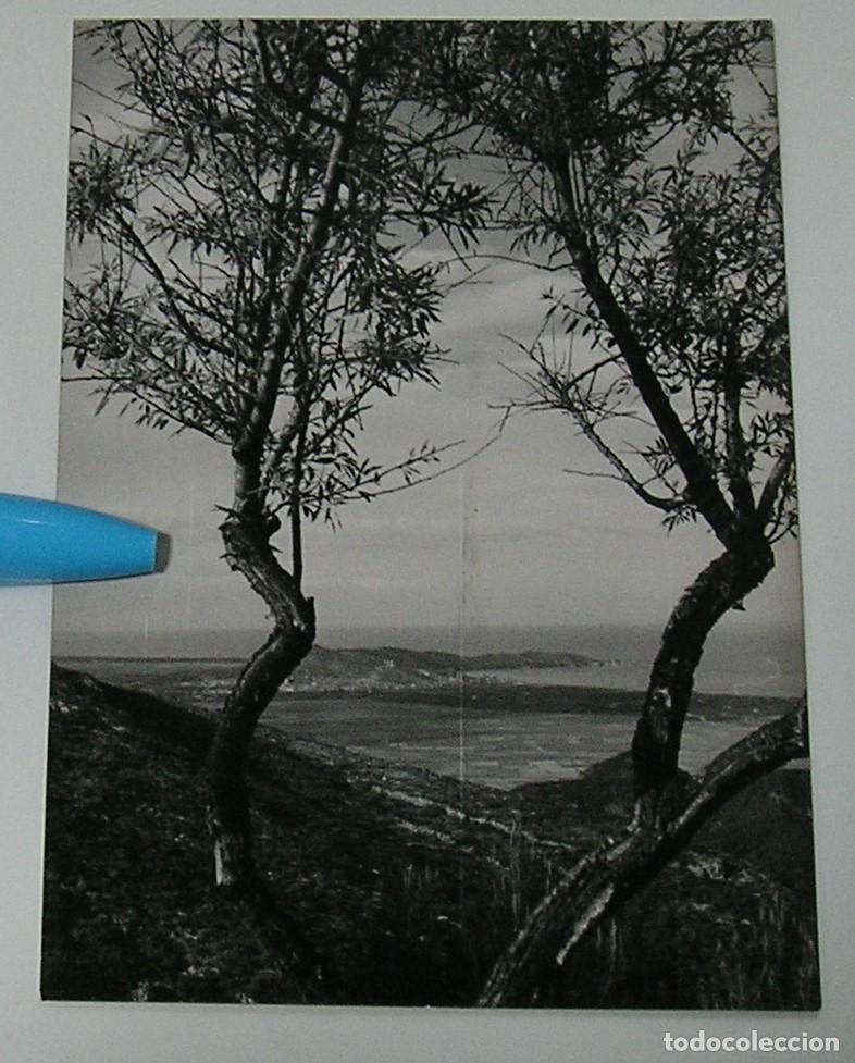 Antique Photography: ANTIGUA FOTO FOTOGRAFIA CULLERA DESDE LA FUENTE DE LA SANGONERA A&Ntilde;O 1964 (26-8)