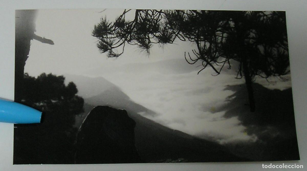 Fotograf&iacute;a antigua: ANTIGUA FOTO FOTOGRAFIA DESDE LA CIMA DEL PINA A&Ntilde;O 1964 (26-8)