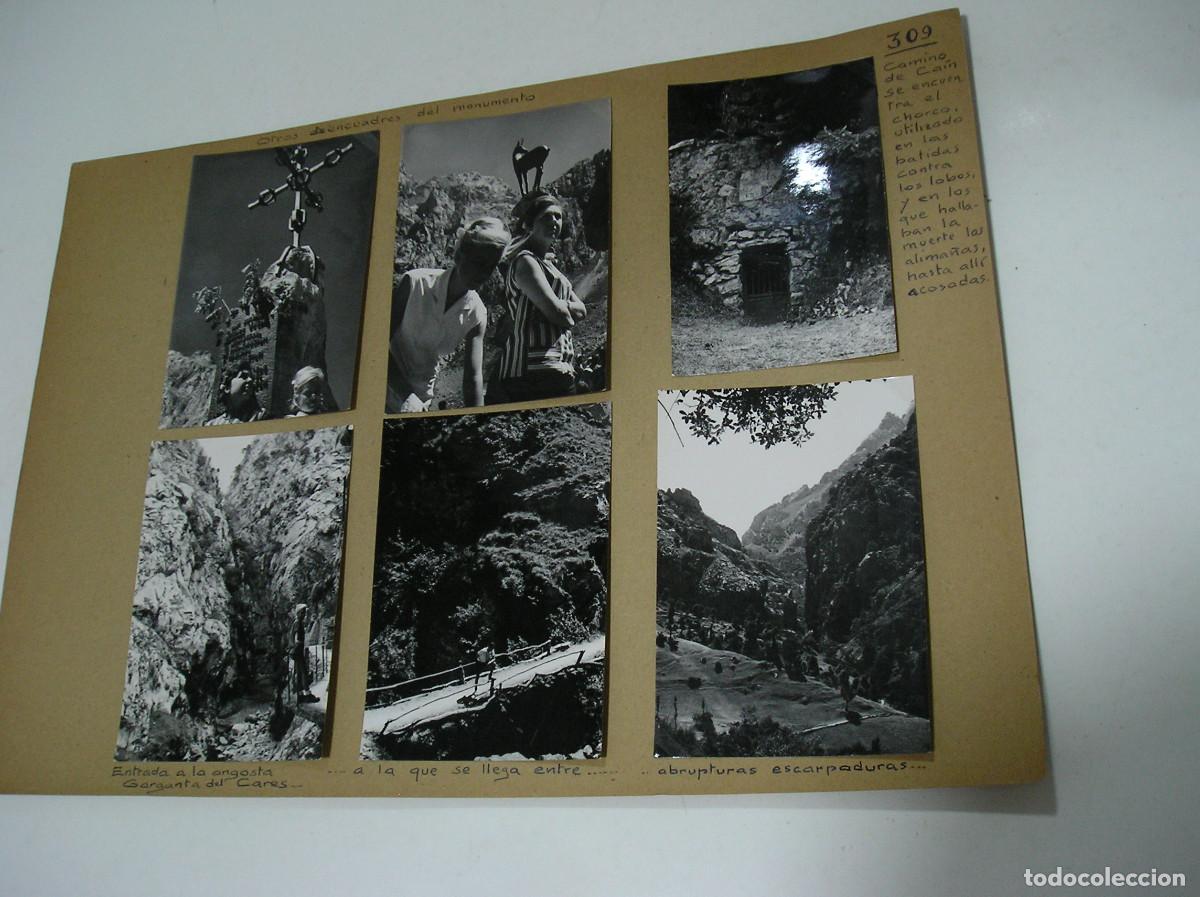 Fotografia antiga: FOTO FOTOGRAFIA PICOS DE EUROPA HOJA ALBUM MONTA&Ntilde;EROS ALPINISTAS A&Ntilde;O 1964 FOTOS SUELTAS (26-9)