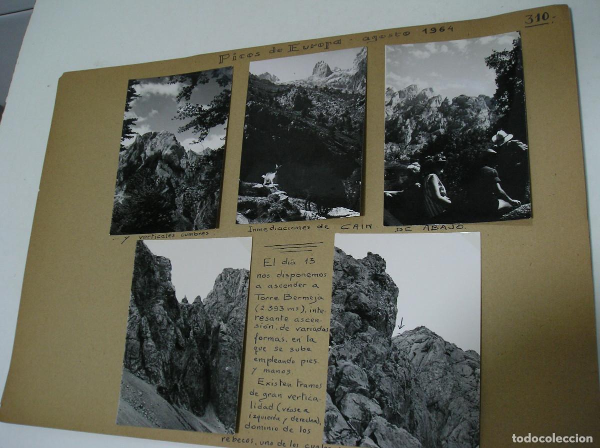 Fotografia antiga: FOTO FOTOGRAFIA PICOS DE EUROPA HOJA ALBUM MONTA&Ntilde;EROS ALPINISTAS A&Ntilde;O 1964 FOTOS SUELTAS (26-9)