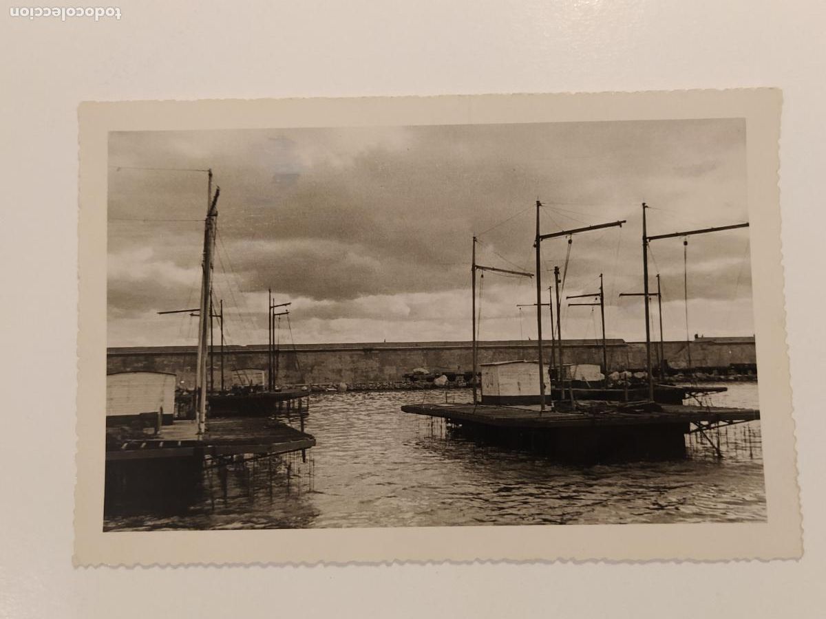 Antique Photography: BARCELONA - MEJILLONERAS - FOTO RUIZ MANENT - FOTOGRAFIA DE PRENSA O EDITORIAL -(K-16.063- 11 )