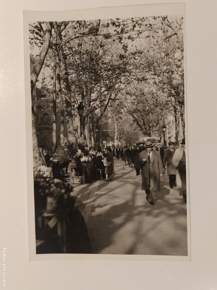 Antique Photography: BARCELONA -RAMBLA DE LAS FLORES-FOTO RUIZ MANENT- FOTOGRAFIA DE PRENSA O EDITORIAL -(K-16.063- 15 )