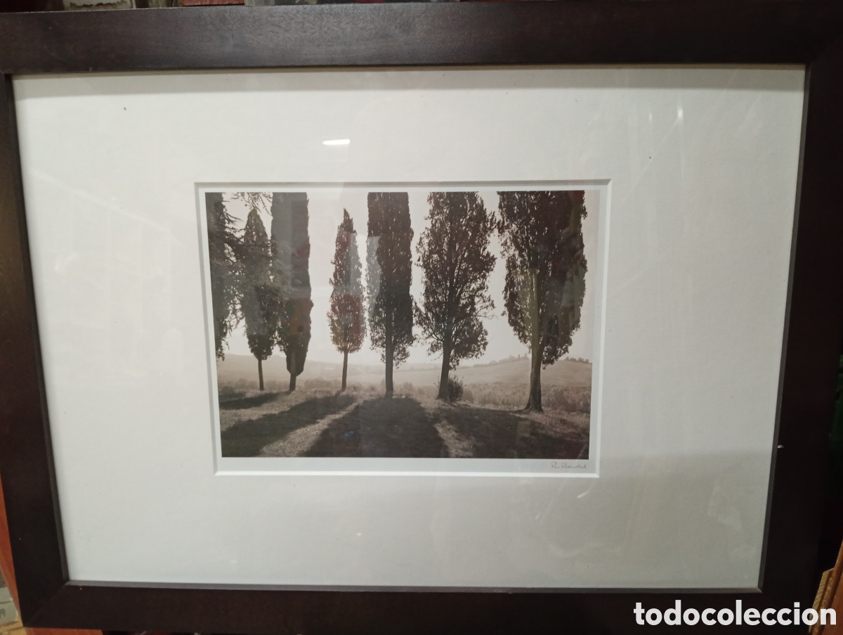 Fotograf&iacute;a antigua: Fotograf&iacute;a original RON ROSENSTOCK