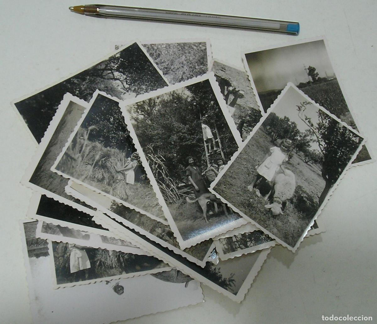 Fotograf&iacute;a antigua: LOTE 24 FOTO FOTOGRAFIAS POST GUERRA CIVIL SAGUNTO VALENCIA LA VIDA EN EL CAMPO AGOS-5