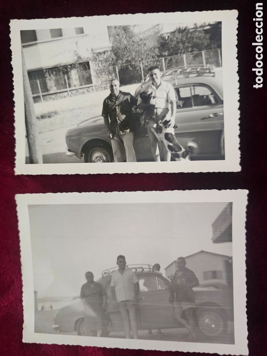 Fotografia antica: 2 fotograf&iacute;as de Renault Dauphine, y familiares probablemente Alger 1950s 1960s Algeria Gordini