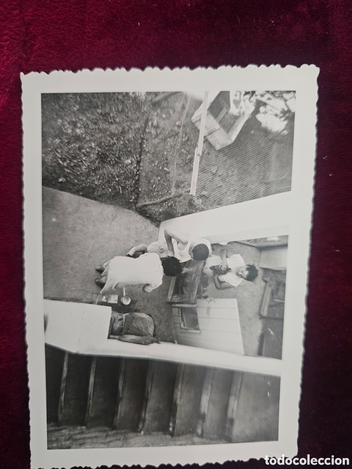 Fotograf&iacute;a antigua: Curiosa Fotograf&iacute;a perspectiva zenital 1950s 1960s Alger ? Cuidando gallinas