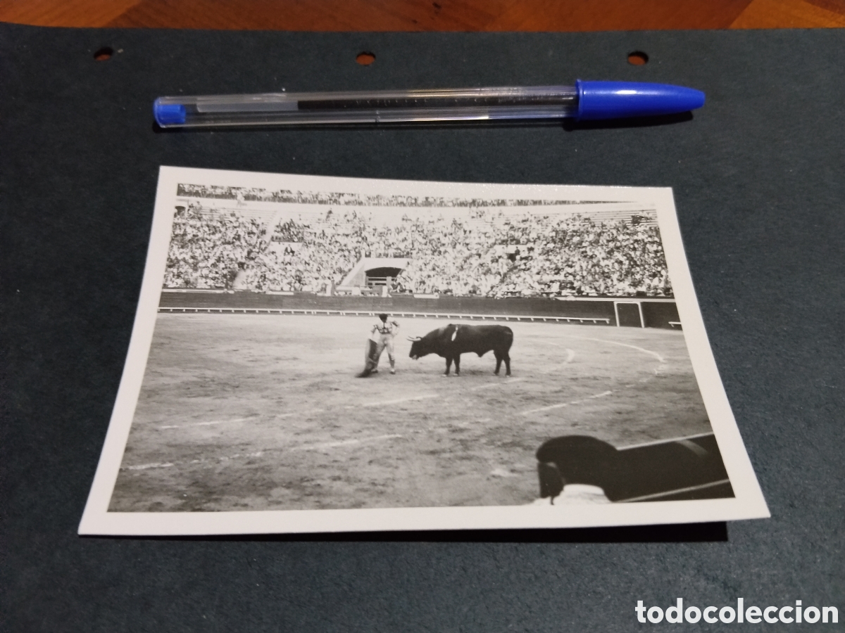 Fotograf&iacute;a antigua: Fotograf&iacute;a plaza de toros,faena de muleta