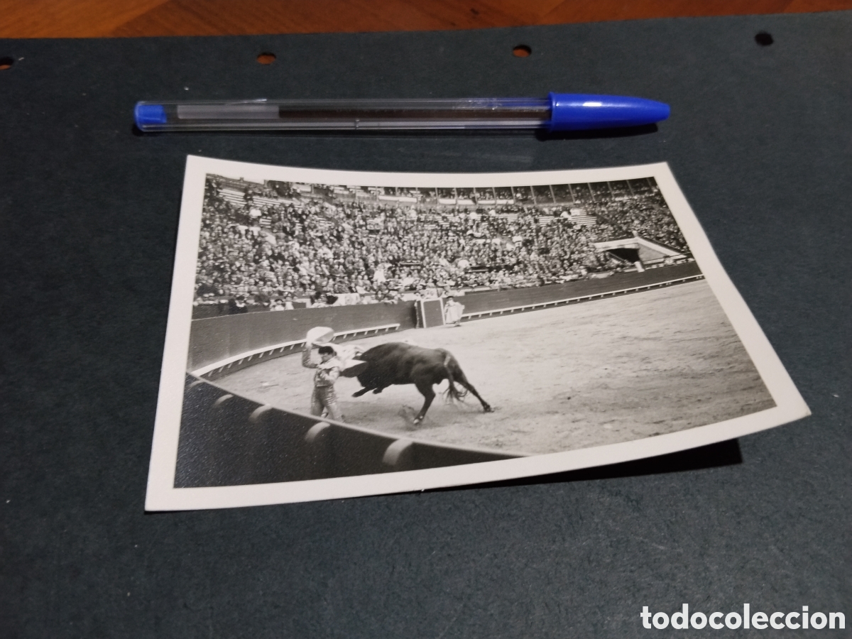 Fotograf&iacute;a antigua: Fotograf&iacute;a toros, Diego Puerta, Fallas 1969