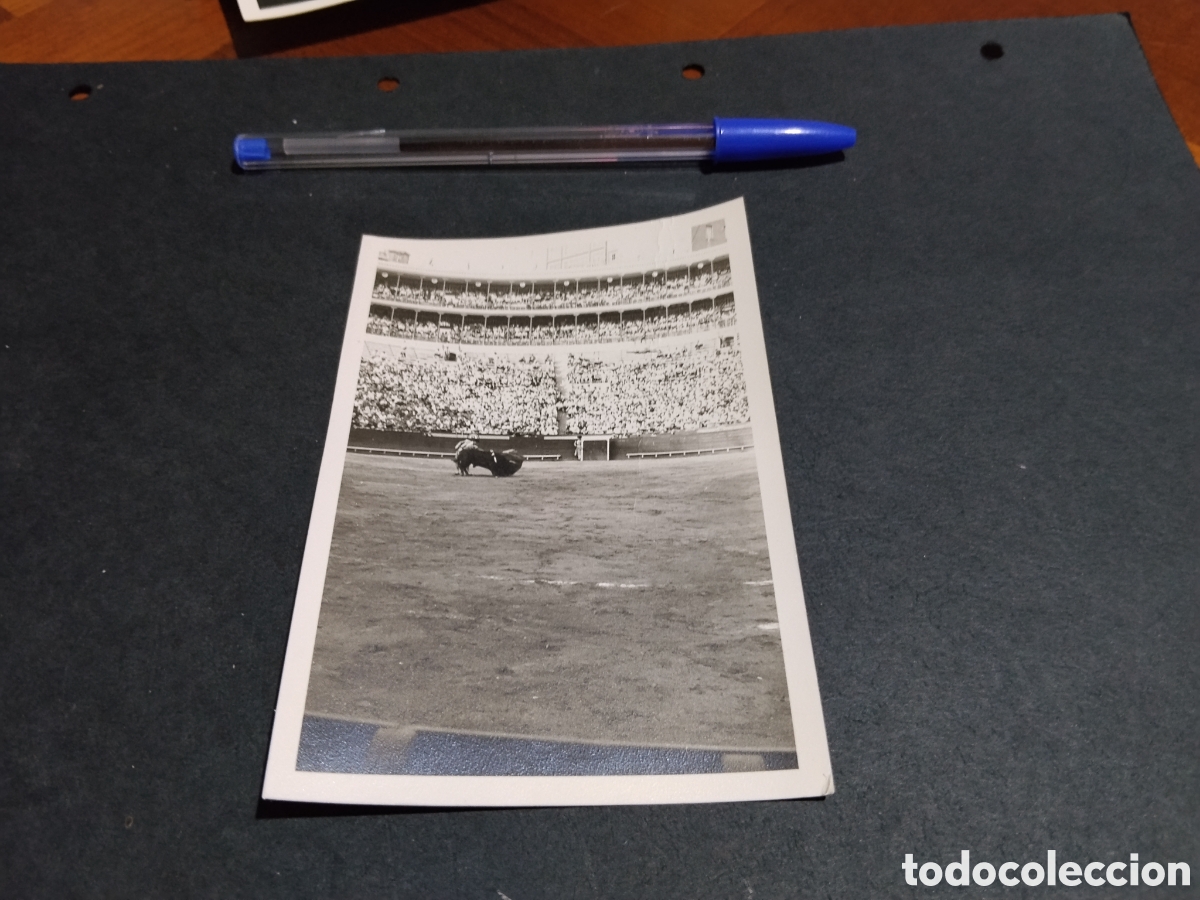 Fotograf&iacute;a antigua: Fotograf&iacute;a toros feria 1968