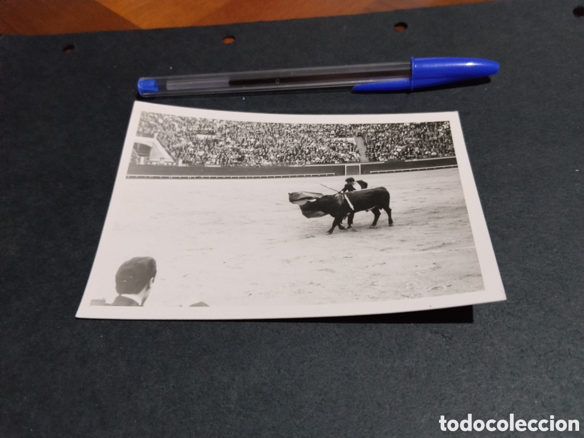 Fotograf&iacute;a antigua: Fotograf&iacute;a toros faena muleta