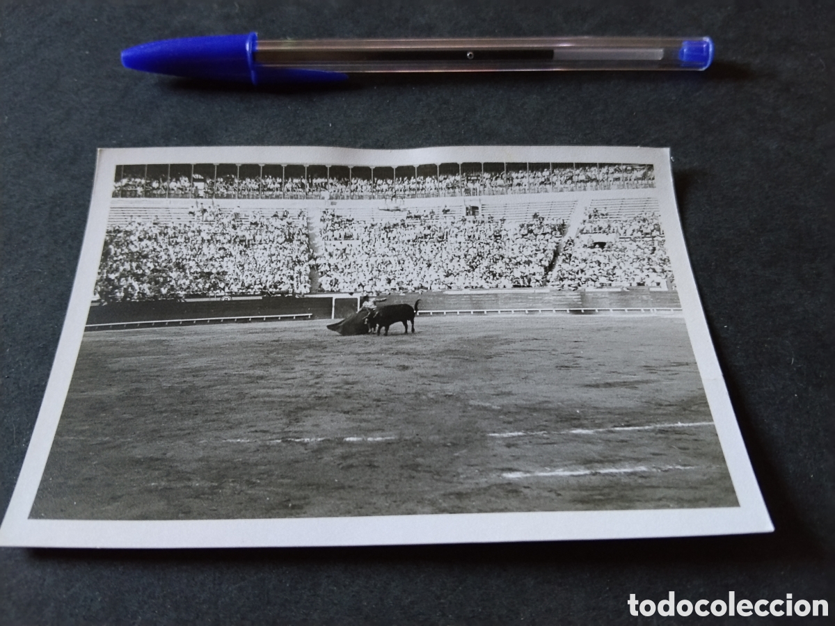 Fotograf&iacute;a antigua: Fotograf&iacute;a Plaza de toros faena maletilla