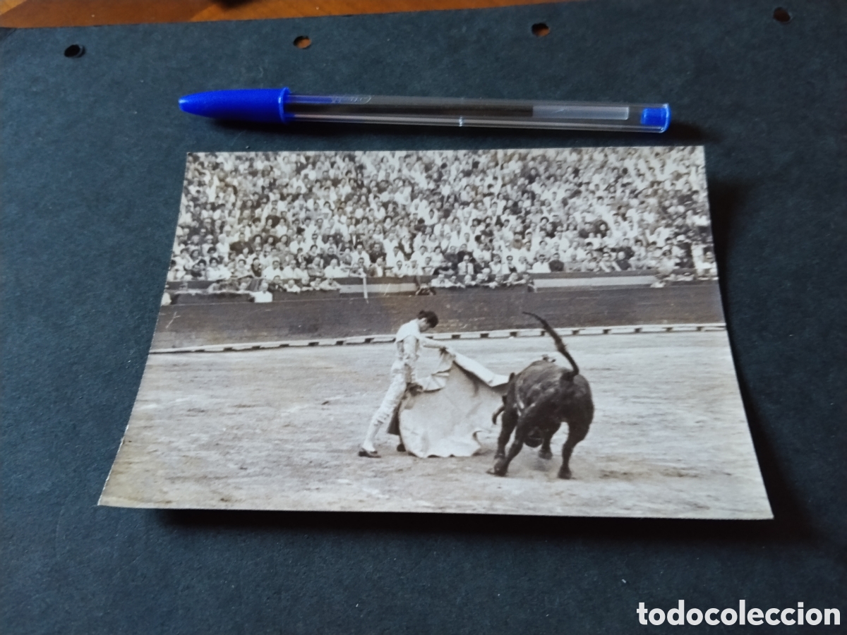 Fotograf&iacute;a antigua: Fotograf&iacute;a toros,torero faenando