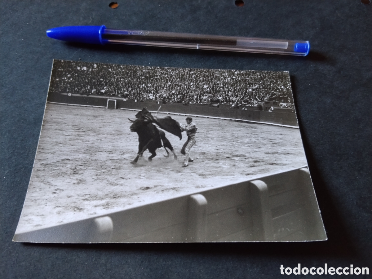 Fotograf&iacute;a antigua: Fotograf&iacute;a toros faena muleta
