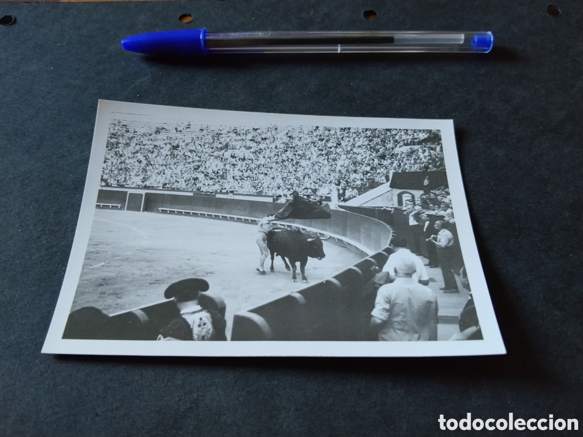 Fotograf&iacute;a antigua: Fotograf&iacute;a toros faena muleta