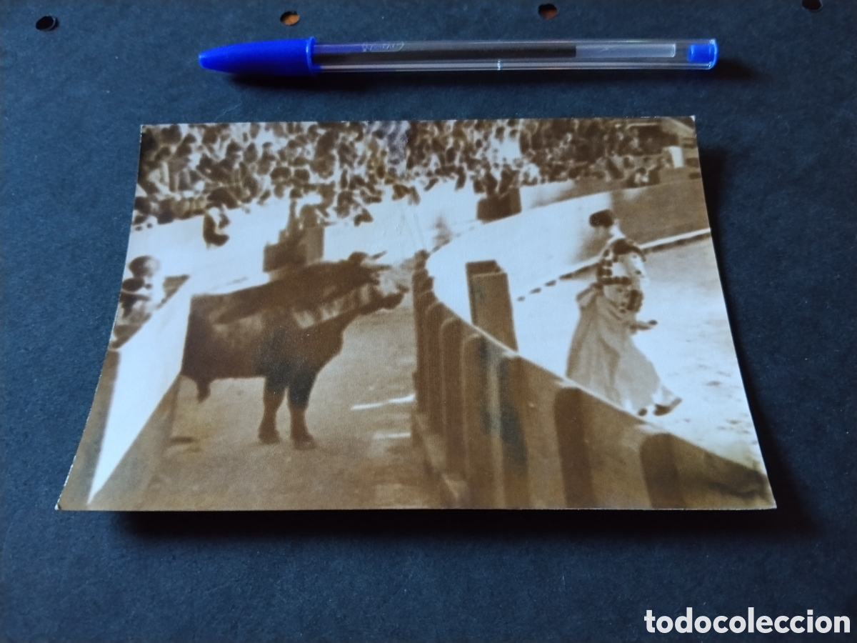 Fotograf&iacute;a antigua: Fotograf&iacute;a toros, toro dentro del burladero, marzo 1967