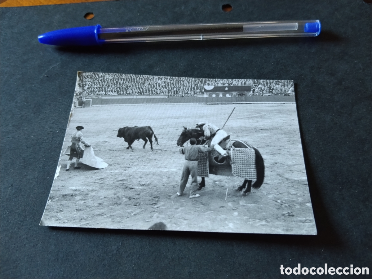 Fotograf&iacute;a antigua: Fotograf&iacute;a toros, picador