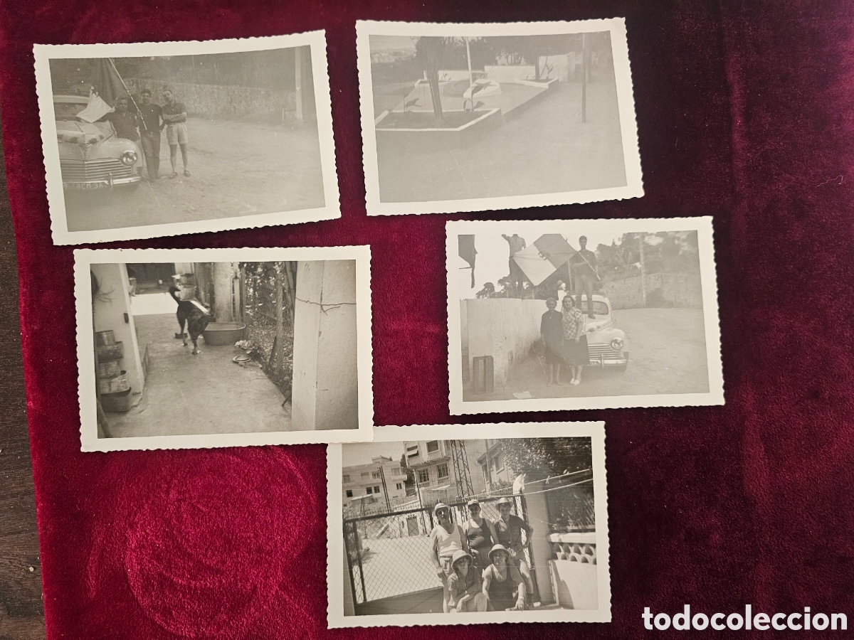 Fotograf&iacute;a antigua: Lote 5 Fotos Antiguas Argelia Francesa c. 1957/60 - Coche Matr&iacute;cula Argel (9A), Retratos y Perro