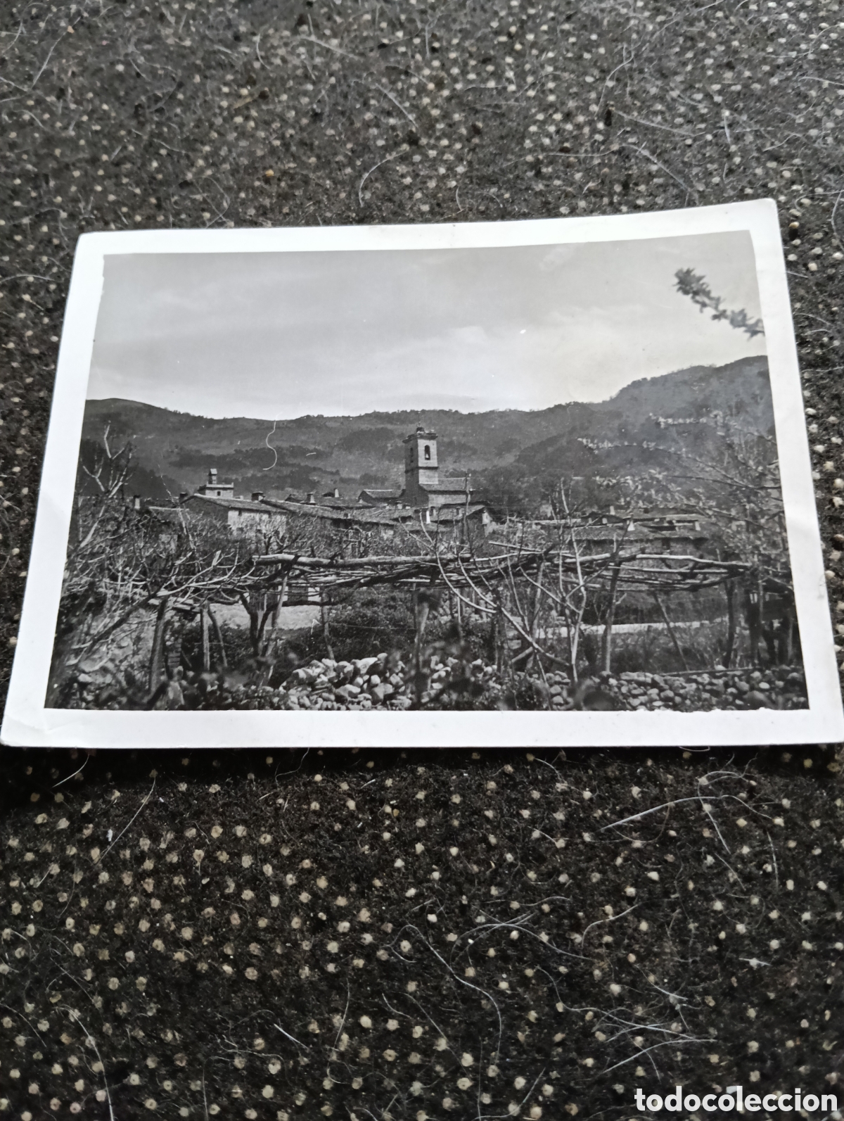 Fotograf&iacute;a antigua: Fotograf&iacute;a de 1958 en Piedralaves, ubicado en la provincia de &Aacute;vila, Castilla y Le&oacute;n tama&ntilde;o 10 x 7,