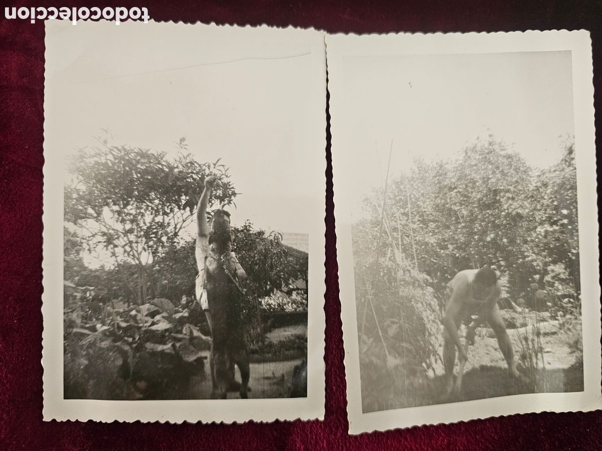 Fotograf&iacute;a antigua: Lote de 2 Fotograf&iacute;as Antiguas en Blanco y Negro &ndash; Escenas de Campo /Agr&iacute;cola 1950s 1960s Alger?