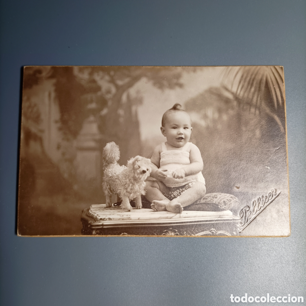 Fotograf&iacute;a antigua: ANTIGUA FOTOGRAF&Iacute;A SOBRE CARTON DURO
