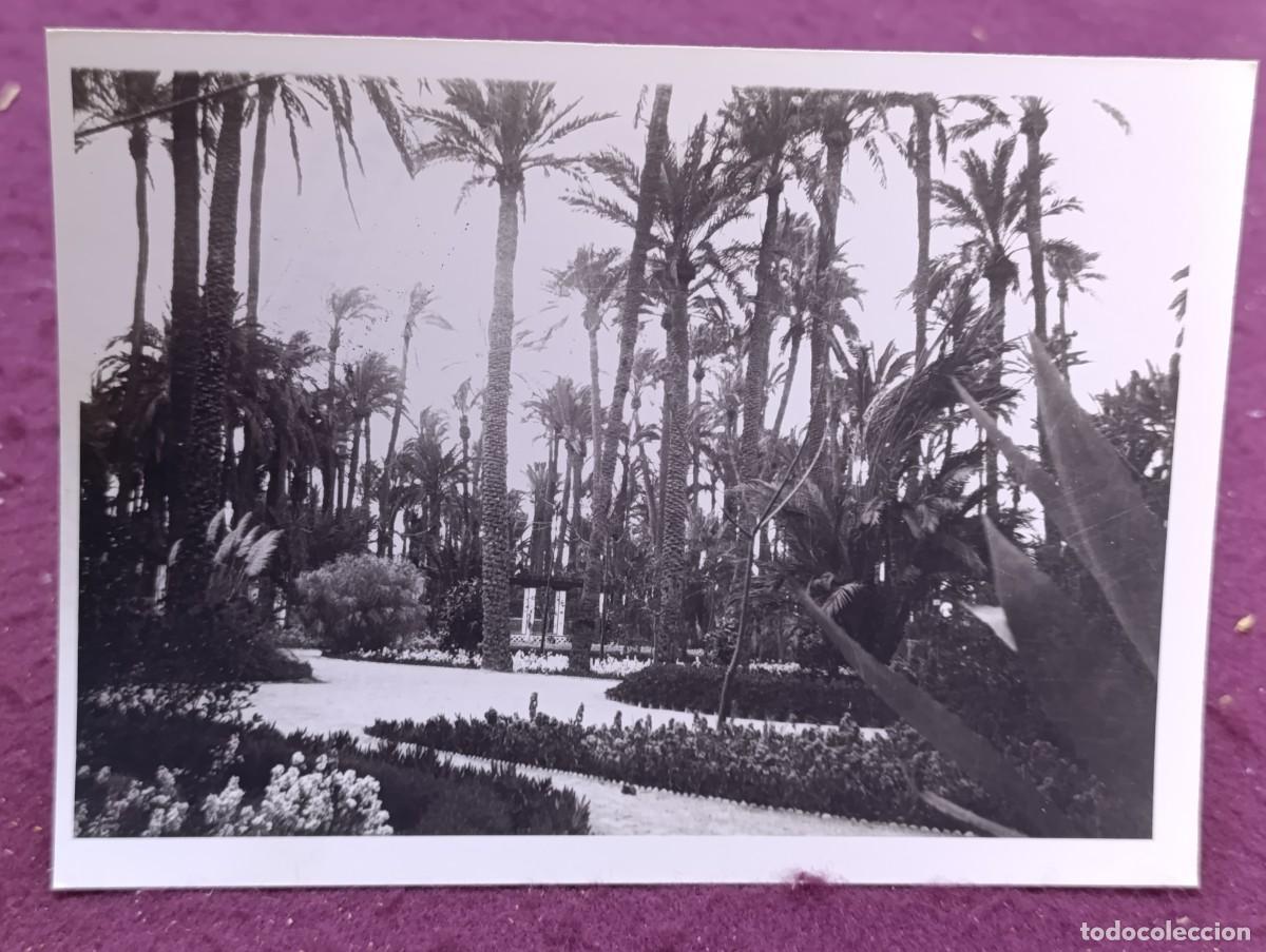 Fotografia antica: fotograf&iacute;a de Archivo en b/n, de Elche, P&eacute;rez Segu&iacute;, sello al dorso