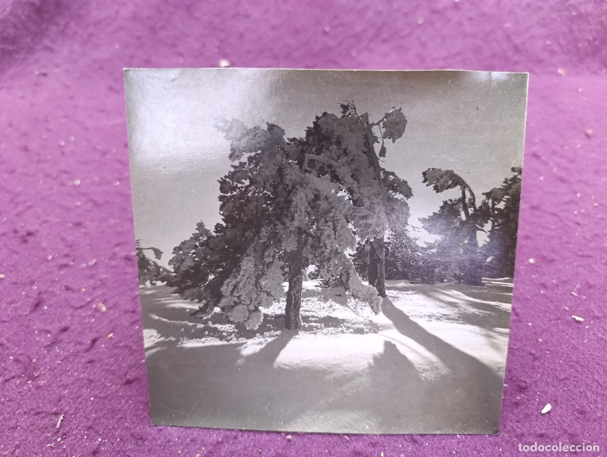 Fotografia antiga: 1933, Antigua fotograf&iacute;a de Archivo, Nieve y Sol en Navacerrada, Madrid, fot. J. Delgado &Uacute;beda