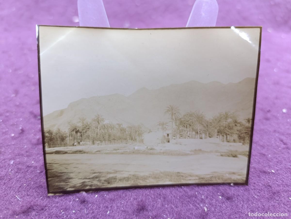 Fotografia antica: Antigua fotograf&iacute;a en b/n o sepia, S. XIX, Orihuela, Palmeral de San Ant&oacute;n