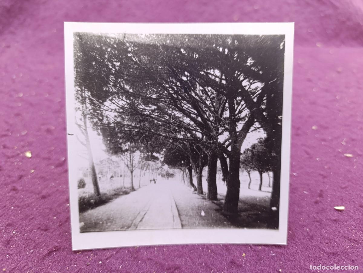 Fotografia antica: Antigua fotograf&iacute;a en b/n o sepia, S. XIX., Madrid, Paseo de la Castellana, unos 13 x 13 cms.