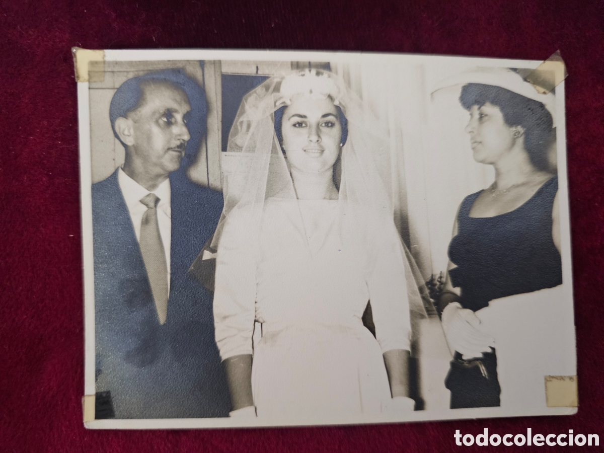 Fotograf&iacute;a antigua: Fotograf&iacute;a Antigua de Boda &Eacute;poca (A&ntilde;os 60/70) &ndash; Exclusivas Catalu&ntilde;a (Tur&oacute; Park, Barcelona)