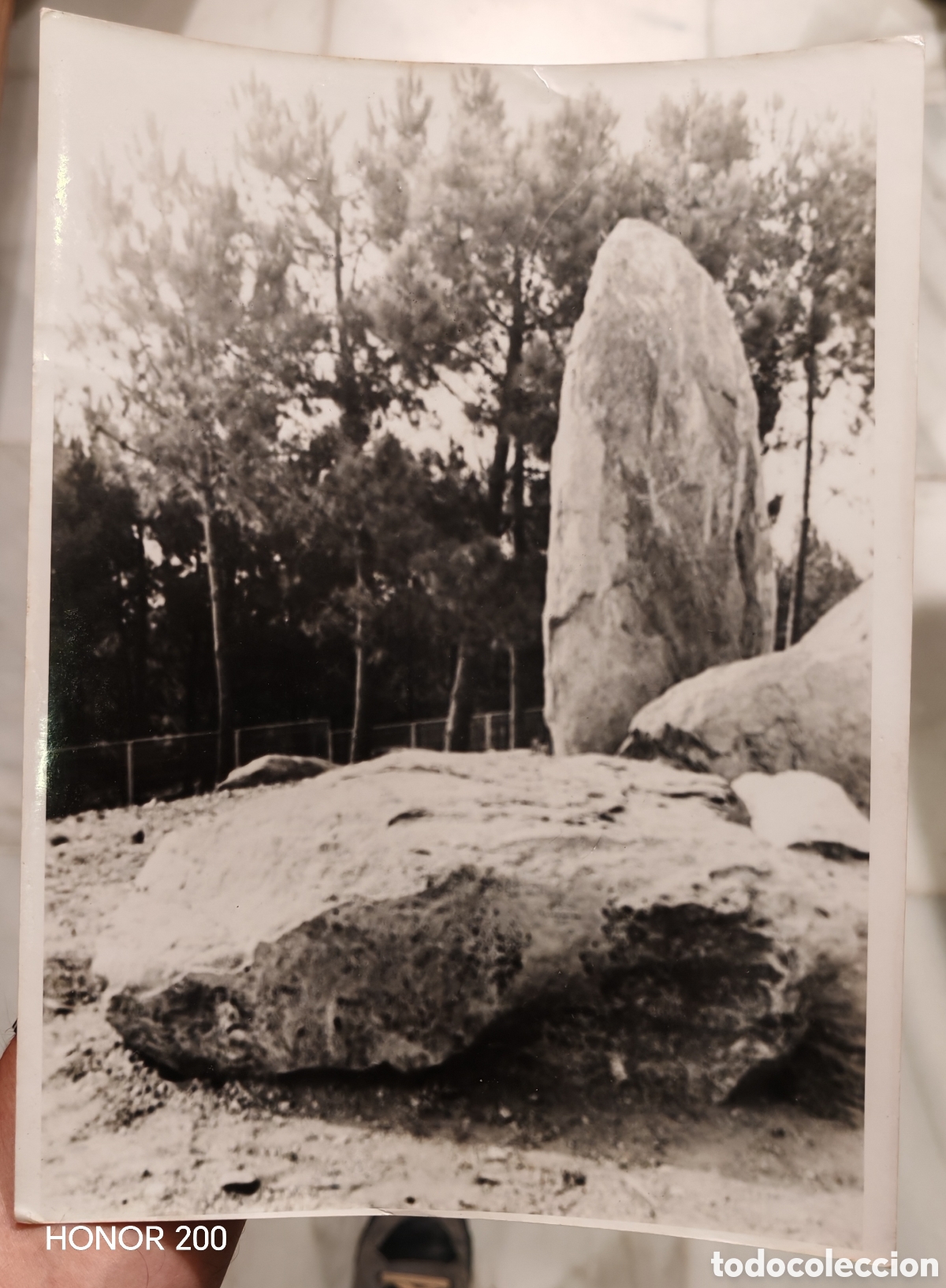 Fotograf&iacute;a antigua: Lote 2 Grandes Fotos de - Campo de Mamoas de Cela. Vigo-Mos 1976.