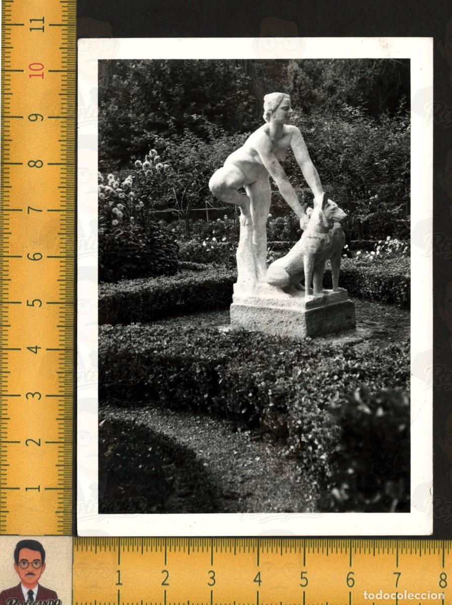 Fotograf&iacute;a antigua: ESTATUA DIANA CAZADORA PERROS - PARQUE ISABEL CAT&Oacute;LICA GIJ&Oacute;N ASTURIAS - FOTOGRAF&Iacute;A ANTIGUA A&Ntilde;OS 60