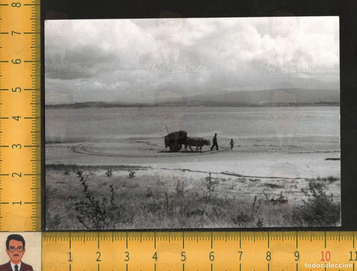 Fotograf&iacute;a antigua: EL NI&Ntilde;O Y EL CARRETERO - CARRO BUEYES PLAYA MAR ORILLA ARENA - FOTOGRAF&Iacute;A ANTIGUA ART&Iacute;STICA A&Ntilde;OS 60