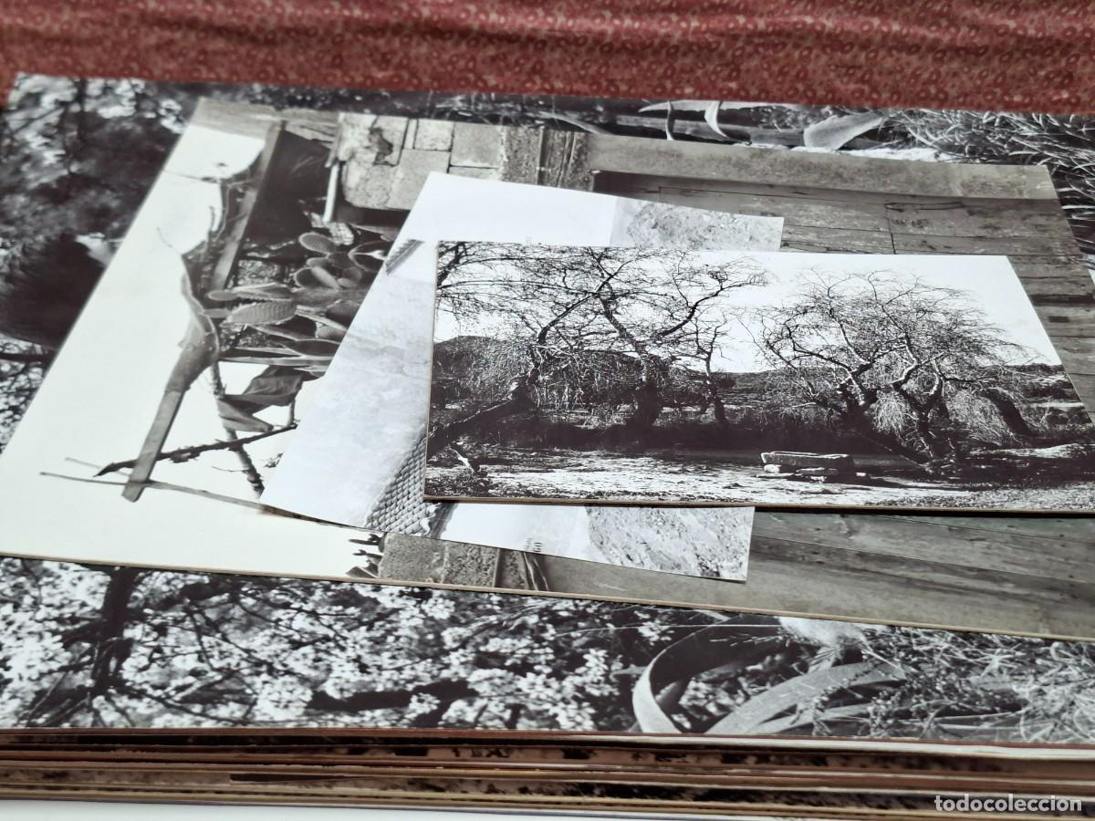 Fotograf&iacute;a antigua: LOTE FOTOGRAFIAS ARTISTICAS FOTOGRAFO GALLUD BALLESTER MURCIA A&Ntilde;OS 60