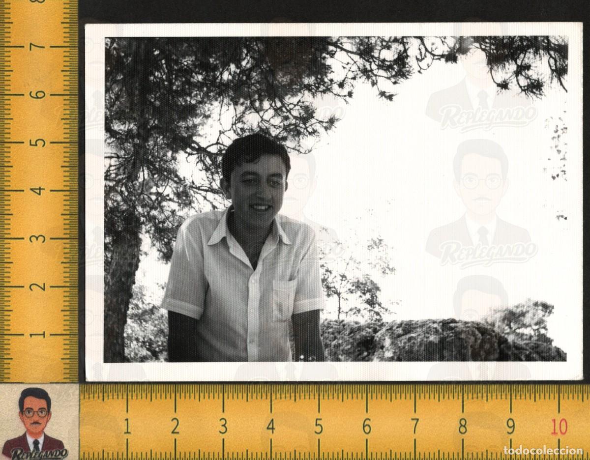 Fotograf&iacute;a antigua: CHICO JOVEN SONRIENTE CAMISA BLANCA CAMPO PINOS NATURALEZA - FOTOGRAF&Iacute;A ANTIGUA ART&Iacute;STICA A&Ntilde;OS 60