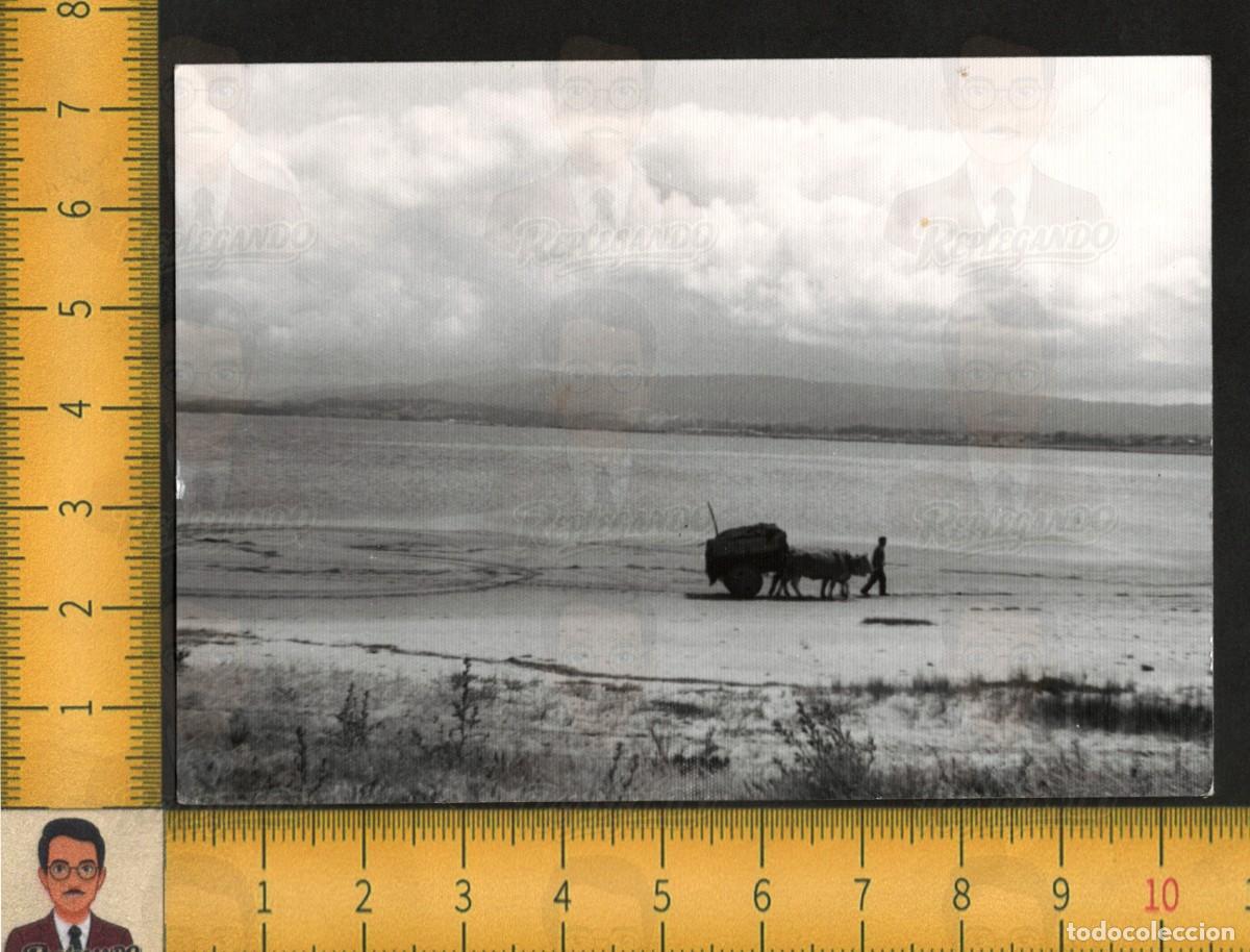 Fotograf&iacute;a antigua: EL CARRETERO Y EL MAR - CARRO BUEYES PLAYA ORILLA ARENA - FOTOGRAF&Iacute;A ANTIGUA ART&Iacute;STICA A&Ntilde;OS 60
