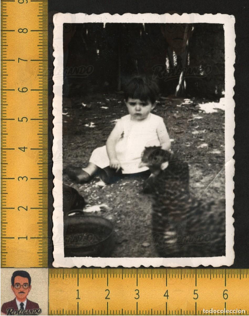 Fotograf&iacute;a antigua: SIMP&Aacute;TICA NI&Ntilde;A SENTADA JUNTO GALLINA CAMPO ANIMALES INFANCIA - FOTOGRAF&Iacute;A ANTIGUA A&Ntilde;OS 50/60